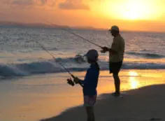 Fishing Website Content